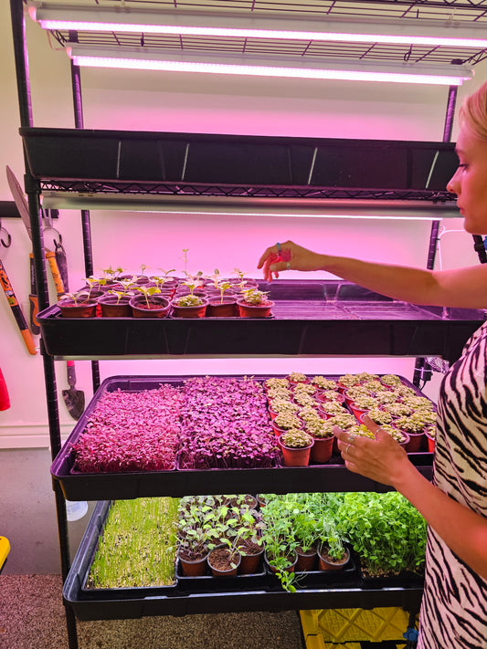 microFARM 4-Level Grow Tower