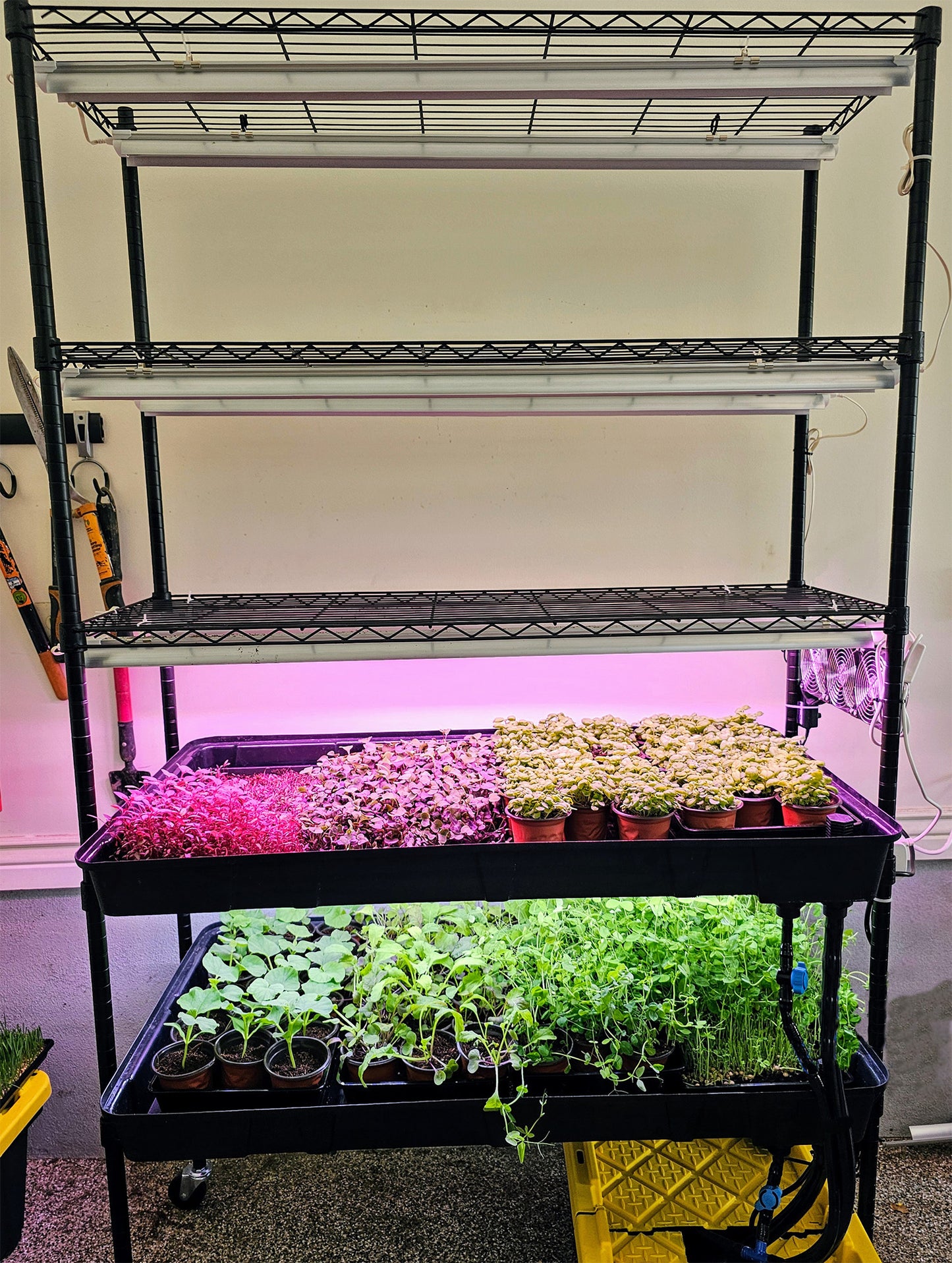 microFARM 2-Level Grow Tower