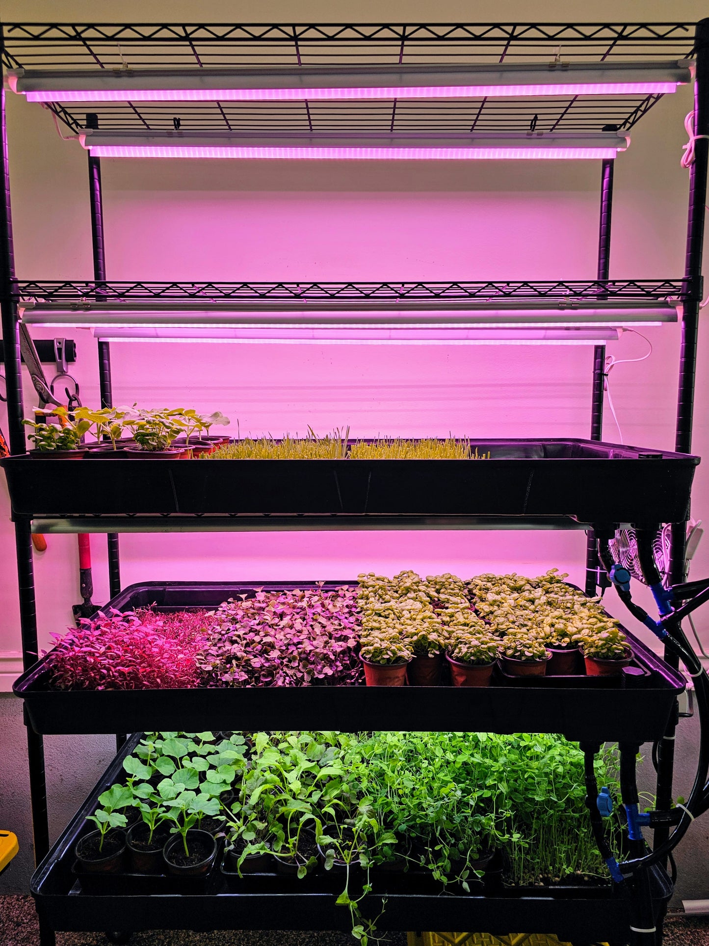 microFARM 3-Level Grow Tower