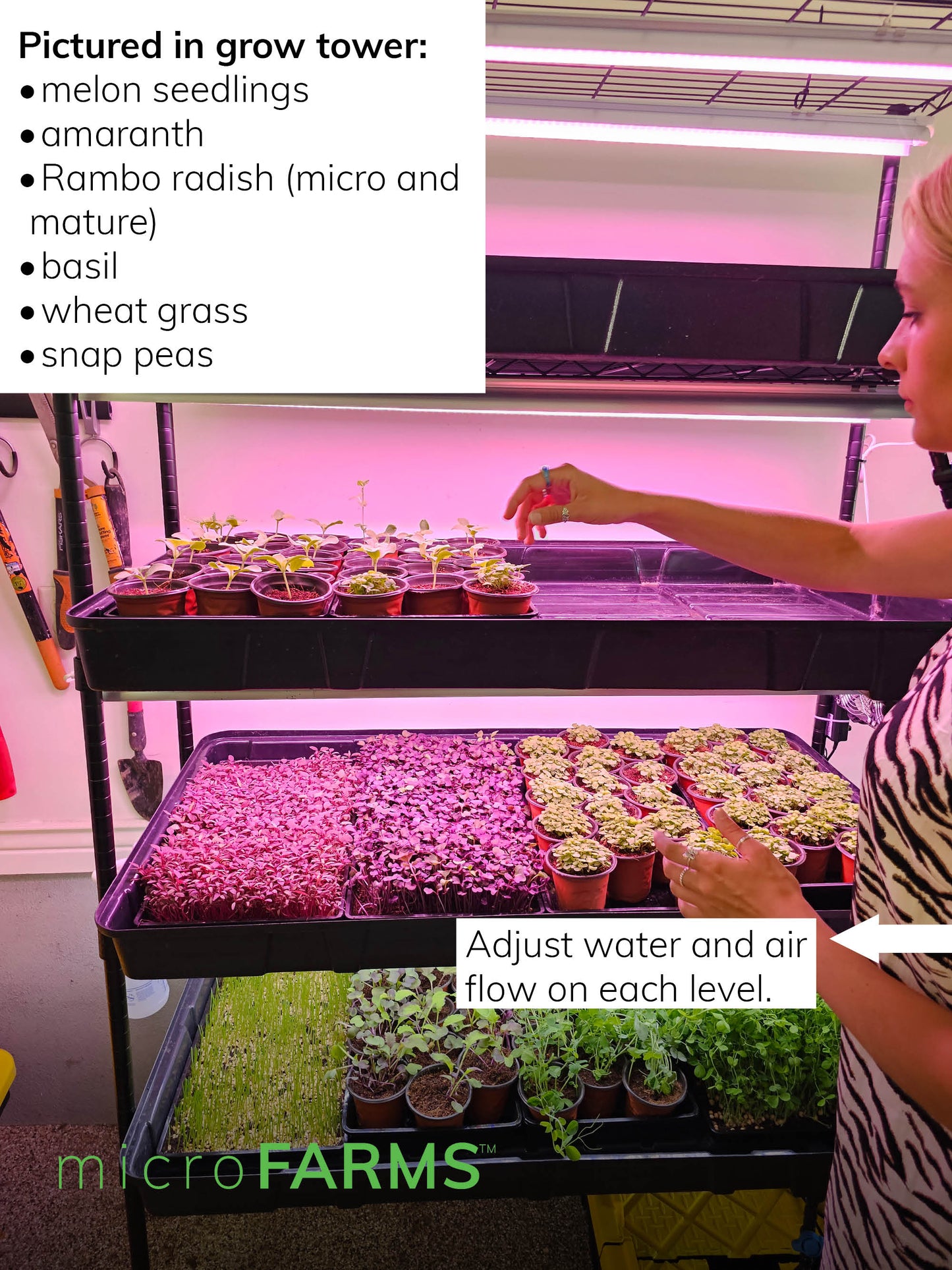 microFARM 4-Level Grow Tower